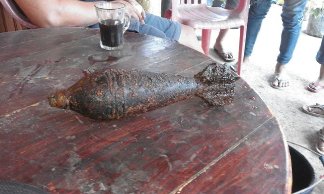Petani Wulurmaatus Temukan Bom Mortir